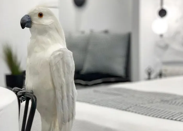 Apart Otel Panos Naxos City